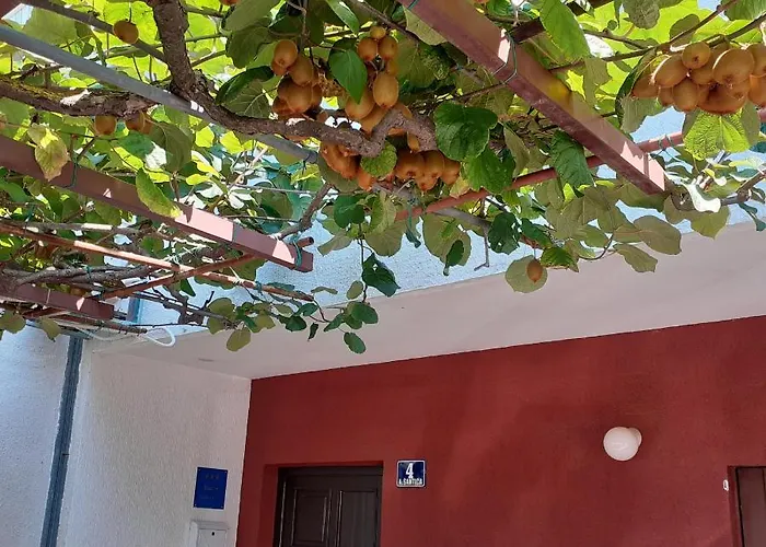 App Milka Apartament *